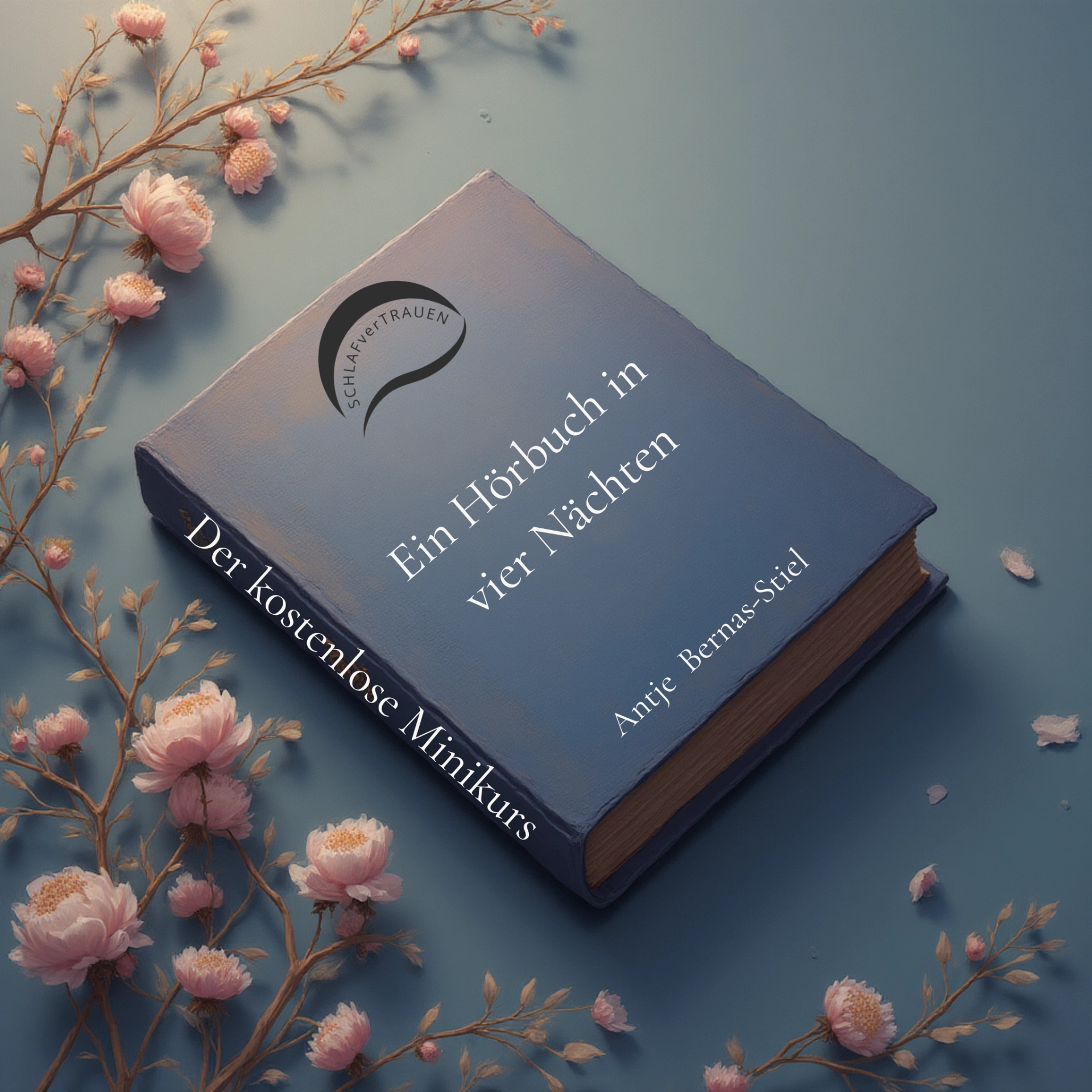 Mini-Kurs Der verlorene Schlaf